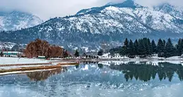 Flights From USA to srinagar_