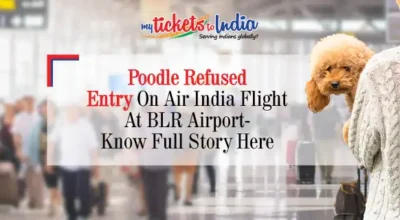 Flyer’s Pet Dog Denied Entry On Air India Flight In Bengaluru