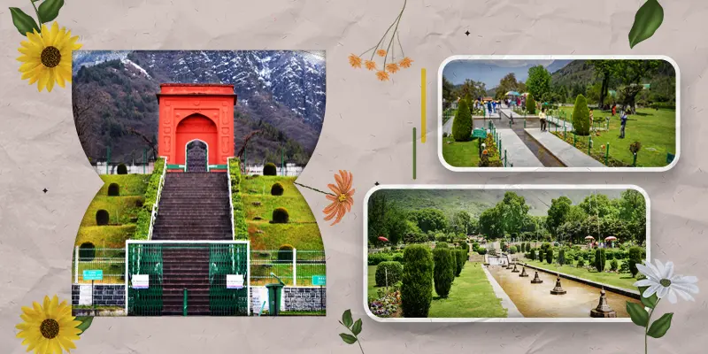 Chash-me-Shahi-Garden kashmir tour package