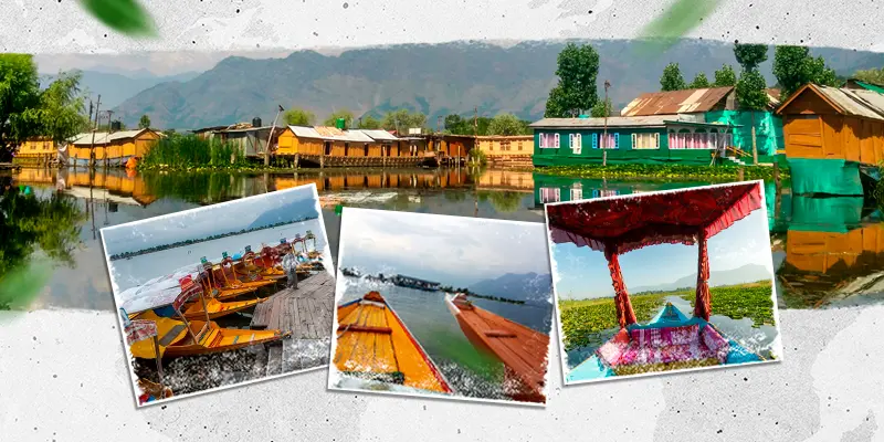 Shikara-rides-on-Dal-Lake kashmir tour package