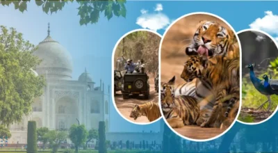 Golden-triangle-with-tiger-safari.