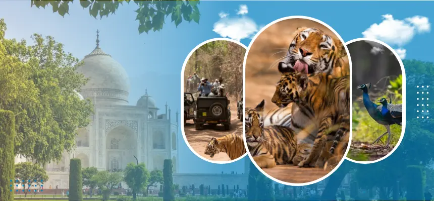 Golden-triangle-with-tiger-safari.