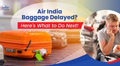 air india baggage tracking