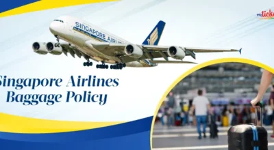 singapore airlines baggage policy