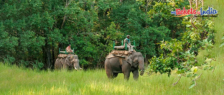 Bandhavgarh National Park, Madhya Pradesh