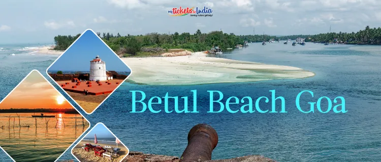 Betul Beach Goa travel sports