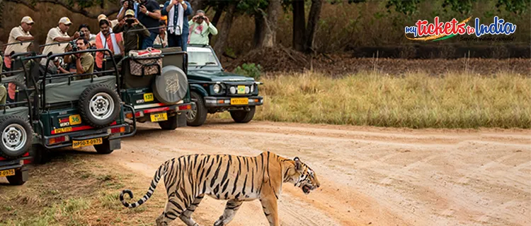 Kanha National Park, Madhya Pradesh