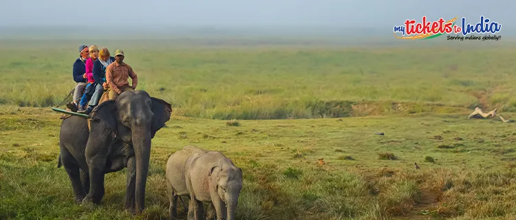 Kaziranga National Park, Assam