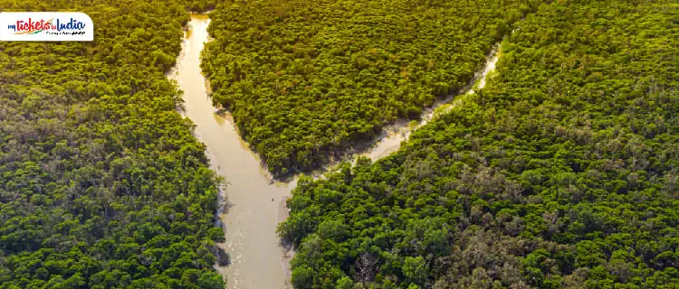 Sunderban National Park kolkata images